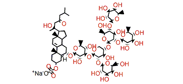 Pectinioside F